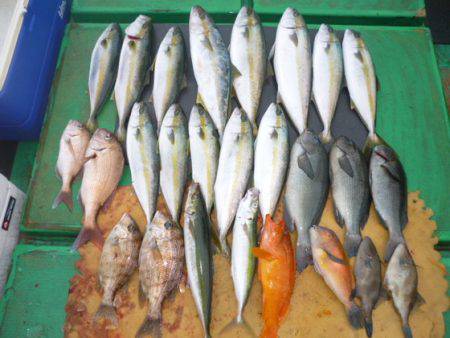 真祐丸 （しんゆうまる） 釣果