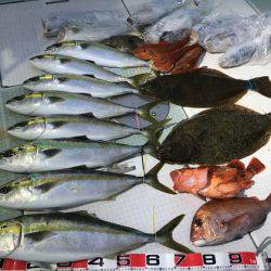 ふじしめ丸 釣果