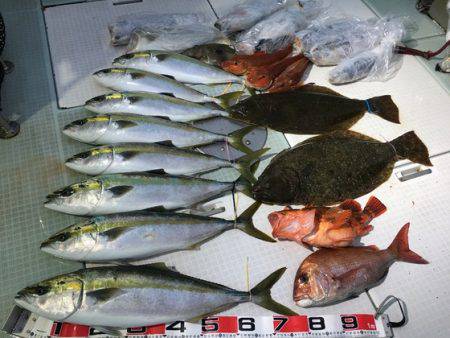 ふじしめ丸 釣果