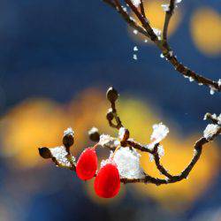 小菅トラウトガーデン 釣果