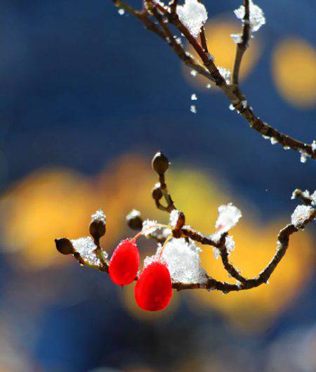 小菅トラウトガーデン 釣果