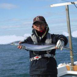 遊漁船 幸友丸 釣果