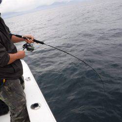 BlueNote Fishing Taxi 釣果