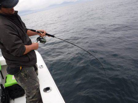 BlueNote Fishing Taxi 釣果