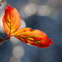 小菅トラウトガーデン 釣果