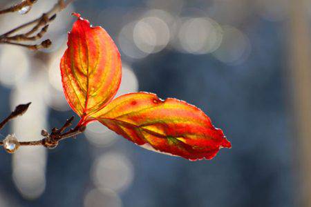 小菅トラウトガーデン 釣果