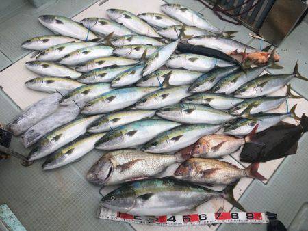 ふじしめ丸 釣果
