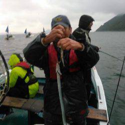 フィッシングガイド りょう 釣果