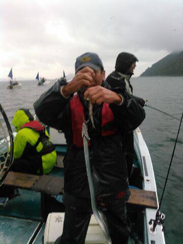 フィッシングガイド りょう 釣果