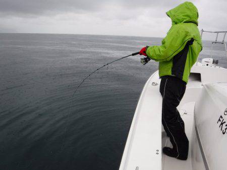 ＢｌｕｅＮｏｔｅ　Ｆｉｓｈｉｎｇ　Ｔａｘｉ 釣果