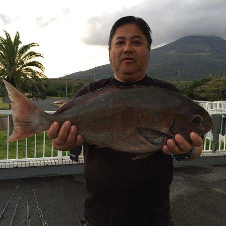 フィッシングハウス伊藤 釣果