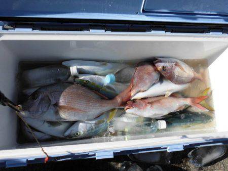 大進丸(新潟) 釣果