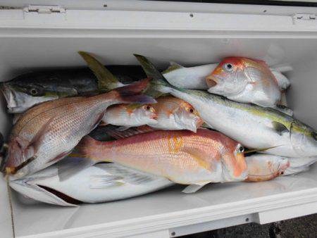 大進丸(新潟) 釣果