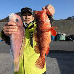 大進丸(新潟) 釣果