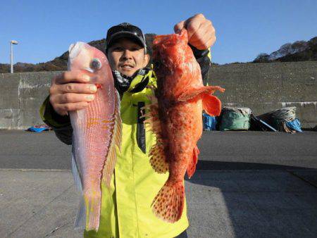 大進丸（新潟） 釣果