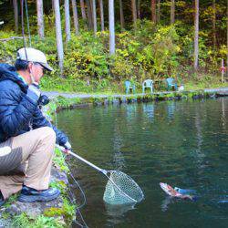 小菅トラウトガーデン 釣果