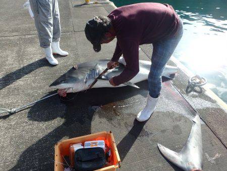 フィッシングハウス伊藤 釣果