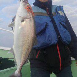 遊漁船 新鋭丸 釣果