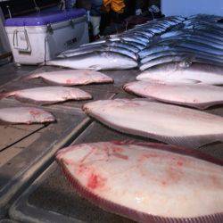 幸風(さちかぜ) 釣果