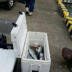 第五慶門丸 釣果