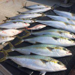 寿裕 (YOSHIHIRO) 釣果