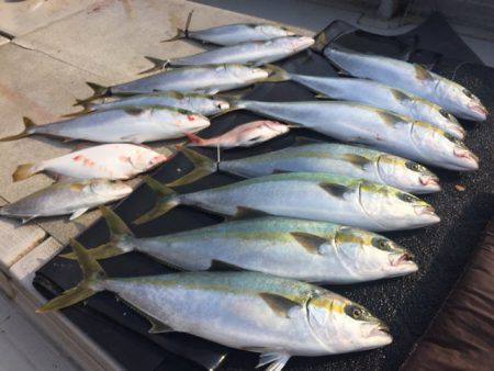 寿裕 (YOSHIHIRO) 釣果