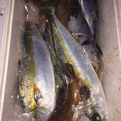 幸風(さちかぜ) 釣果