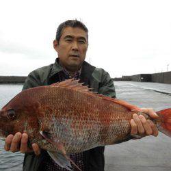 大進丸(新潟) 釣果