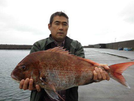 大進丸(新潟) 釣果