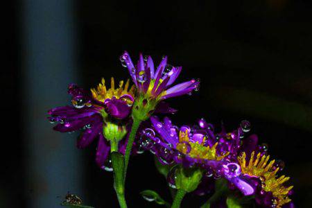 小菅トラウトガーデン 釣果