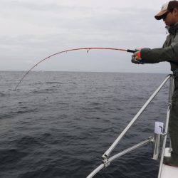 BlueNote Fishing Taxi 釣果