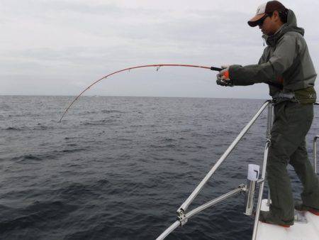 BlueNote Fishing Taxi 釣果