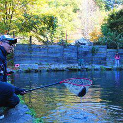 小菅トラウトガーデン 釣果