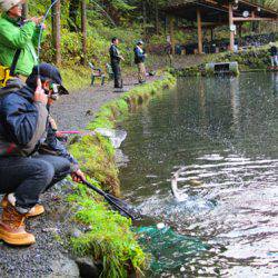 小菅トラウトガーデン 釣果