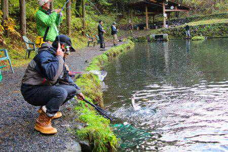 小菅トラウトガーデン 釣果