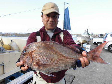 大進丸(新潟) 釣果