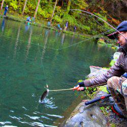 小菅トラウトガーデン 釣果