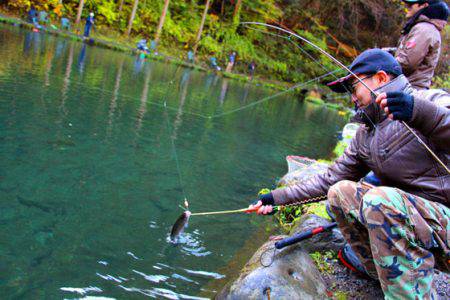 小菅トラウトガーデン 釣果
