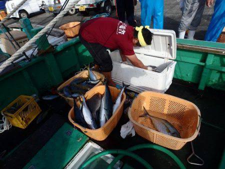 フィッシングハウス伊藤 釣果