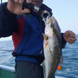 遊漁船 新鋭丸 釣果