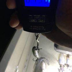 オーシャンズ 釣果