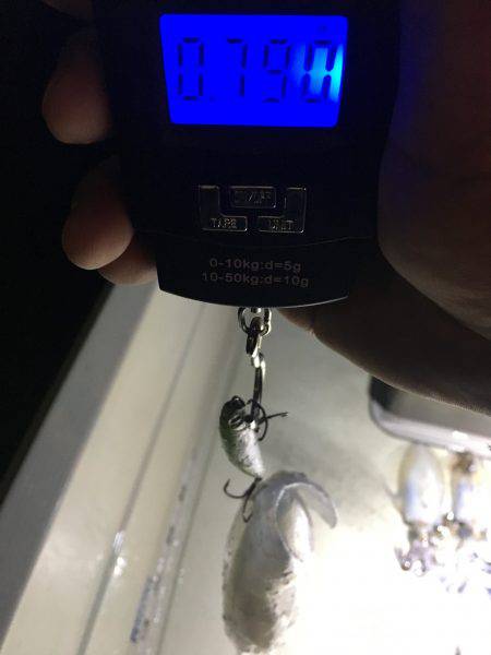 オーシャンズ 釣果