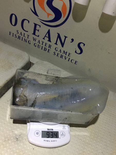 オーシャンズ 釣果