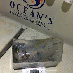 オーシャンズ 釣果