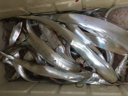 オーシャンズ 釣果