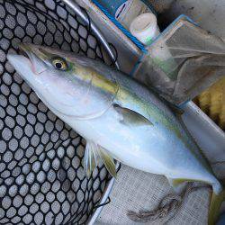 オーシャンズ 釣果