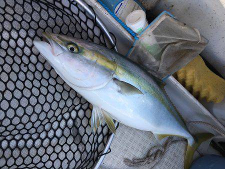 オーシャンズ 釣果