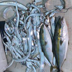 オーシャンズ 釣果