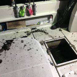 オーシャンズ 釣果