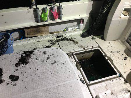 オーシャンズ 釣果